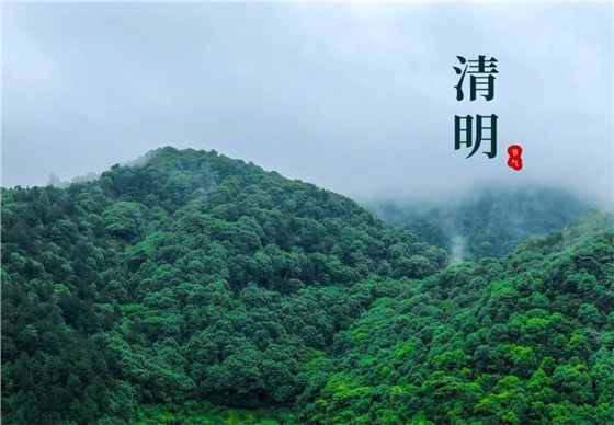 香港宝典最新版开奖结果