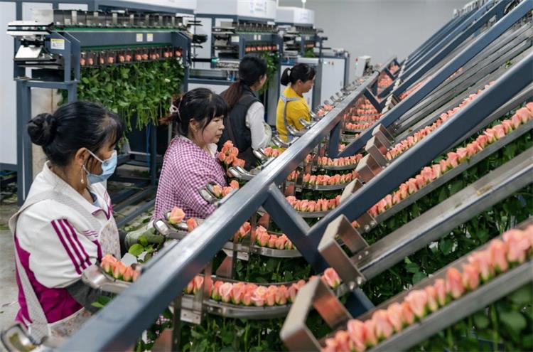 香港宝典最新版开奖结果