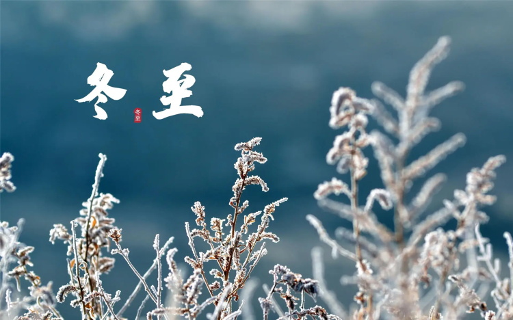 香港宝典最新版开奖结果