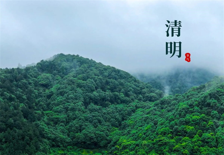 香港宝典最新版开奖结果