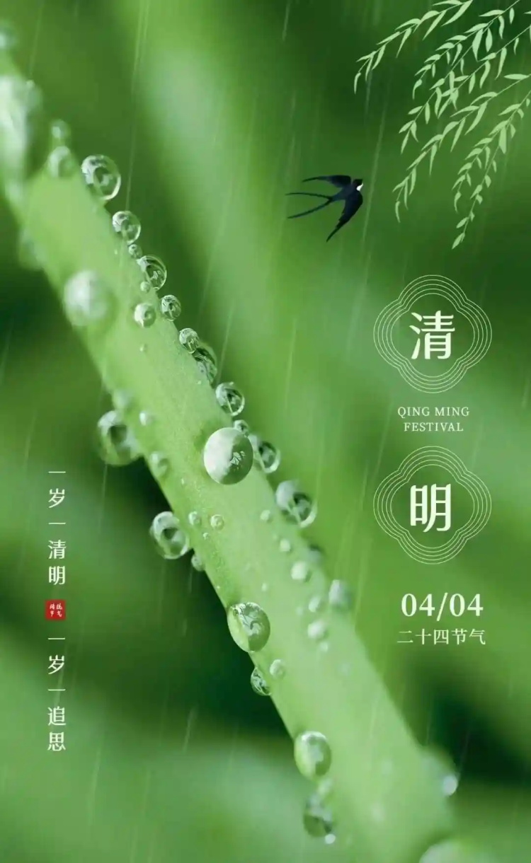 香港宝典最新版开奖结果