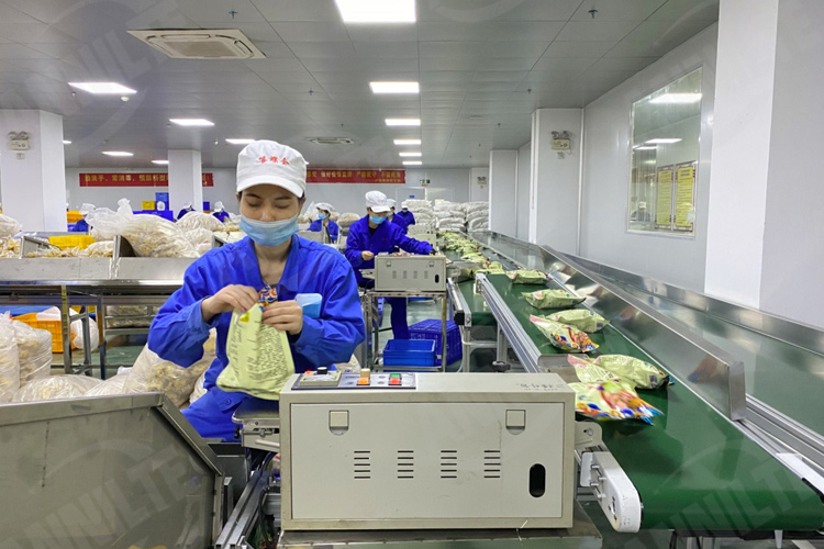香港宝典最新版开奖结果